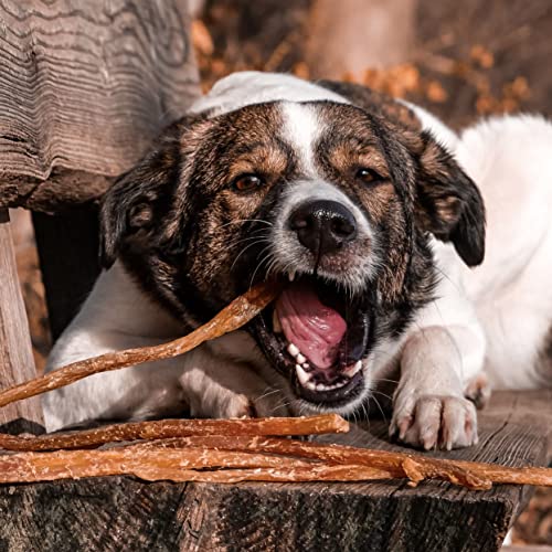 Bellfor Hirsch-Sehne – Kauartikel für Hunde – 200 g – Getreidefreies Leckerli für Welpen, Senioren und Empfindliche Hunde – Unterstützt die Zahnpflege