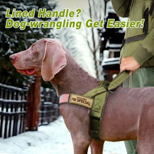 Forestpaw No Pull Dog Harness with Large Handle,Comfortable,L,Green | Adjustable Fits Chest 26-31",50-80 lbs,Slip On,Quick Release,Easy Control,Soft Padded,for Medium Large Dogs Walking Training - Image 4
