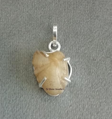 SJ Natural Machh Mani Sea Stone Pendant (Brown) | Machmani Stone | Machhmanni Pendant | Reduces and Remove Impact of Rahu,Ketu,Sani & Moon for Unisex4