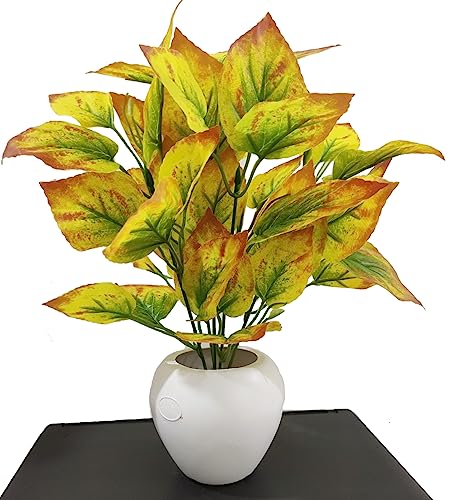 Image of Rubber Natural Looking Artificial Money Plant /Tree with Pot | Ornamental Plant for Interior Decor | Home /Shop /Office Decor (Yellow)