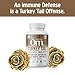 Om Mushroom Superfood Turkey Tail Mushroom Capsules Superfood Supplement, 90 Count, 30 Days, Immune Support, Polysacchrides, Beta-Glucans, Gut Health & Holistic Defense Mushroom Supplement