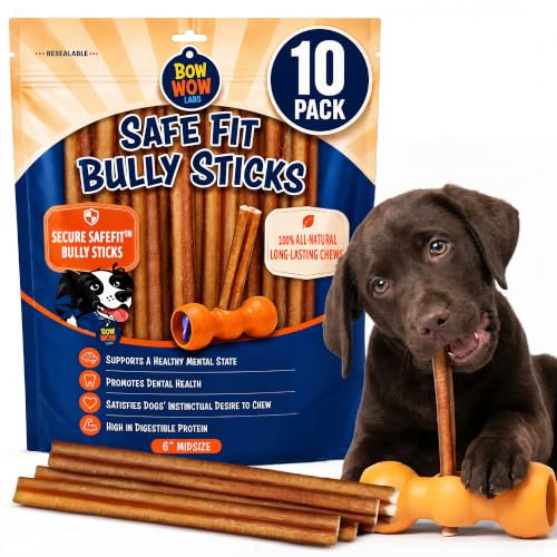 Bow Wow Labs SafeFit Bully Sticks for Dogs - 100% All Natural Beef Sticks Grass-Fed Low Odor Long Lasting Dog Chews Dog Chew Treats Bully Stick for Small Medium Large Dogs - 6 Midsize 10 Pack