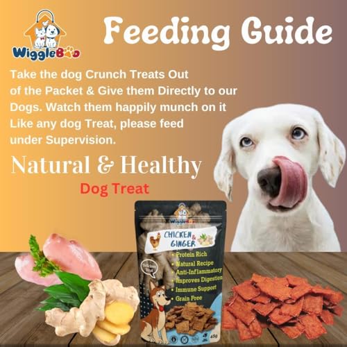 Image of Chicken & Ginger Treat for Dog | Mega Pack | Protein Rich | Anti-Inflammatory | Crunchy Healthy Snacks | (45Grm)