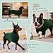 ASENKU Hundepullover Kleine Hunde M, Gestrickt Hundepullover Winter Warm mit Geschirr öffnung, Waschbar Rollkragen Strickpullover Hundepulli mit Beinen für Französische Bulldogge, Boston Terrier