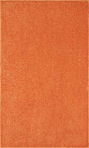 Bright House Solid Color Area Rug Orange - 2' x 3' A-DC4