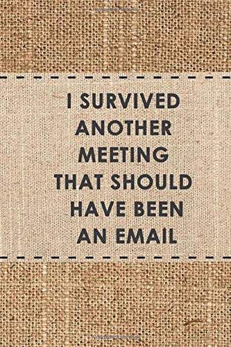Another Meeting That Should Have Been An Email: Office Gift for Coworkers, Boss, Business Gifts, Party Gag Gifts, Office Desk Presents, Lined Blank Funny Notebook
