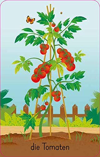 Foto von Schnapp und weg! Im Garten (Kinderspiel): Das superschnelle Kartenspiel (Schnapp-und-weg-Reihe)