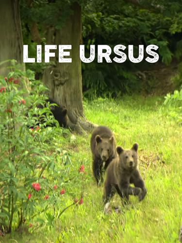  Life ursus
