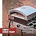 Camp Chef Artisan Outdoor Pizza Oven, 14