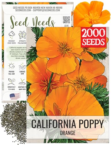 Seed Needs Orange California Poppy Seeds to Plant Flowers 1 Pack