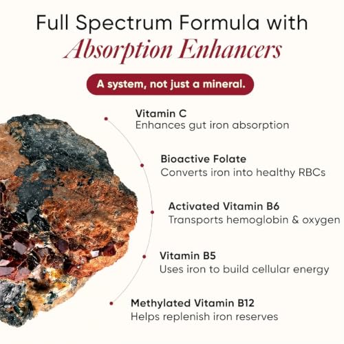 Image of Wellbeing Nutrition Liposomal Iron Complex Supplement, 29 mg|Ferrous bisglycinate, Folic acid, Vitamin C, B5, B6, B12|1.6x Absorbed|Healthy Hemoglobin, Energy, Immunity & Hair|Non-Constipating|60 Caps