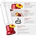 ORIENTOOLS Hummingbird Feeder with Window Hanger- 2pcs Window Bird Feeder, 2.2 oz/Pc Mini Hanging Flower Bird Feeders for Suction Cup