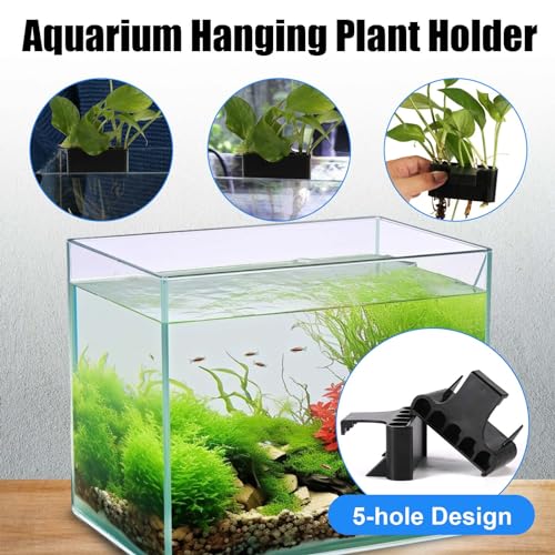XIHIRCD 2 Stück Aquarium Pflanzenhalter, 5 Löcher Aquarium Pflanzkasten Kunststoff Wasserpflanzen Getränkehalter Hängender Aquarium Pflanzkorb Ständer Aufhänger Zubehör für Aquarium Dekorationen