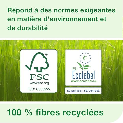 Serviettes Tork Xpressnap N4 extra douces blanches 2 plis pliage en deux format 1000 ex 15850 - 3