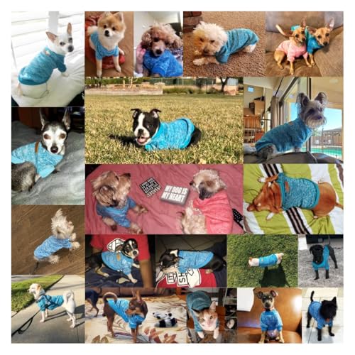 Image of Pet Dog Classic Knitwear Sweater Warm Winter Puppy Pet Coat Soft Sweater Clothing for Small Dogs (S, Light Blue)