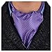 Epoint Spotted Mens Ascots Woven Silk Self Cravat Necktie Purple 46 Inch Streetwear Style Little Boys ERA7D01C Medium Purple