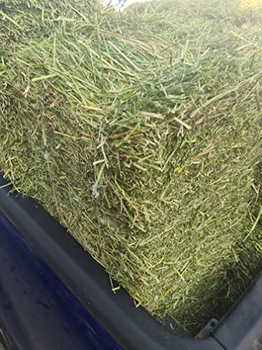 Cremas Y Lociones, Video On Demand Imagen adicional