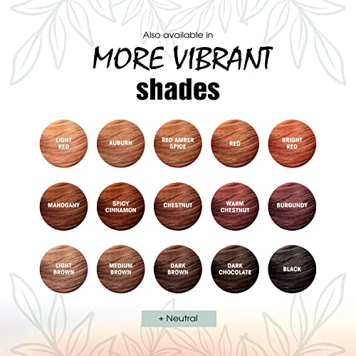 Light Mountain Dark Brown Henna 4 oz.