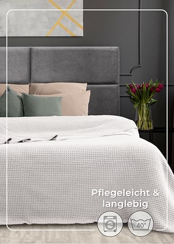 LAYNENBURG Premium Waffelpique Baumwolldecke 150x200 cm - Oeko-TEX 100 - Baumwollmix Kuscheldecke - Decke als Wohndecke, Sofa-Decke & Couchdecke - Wolldecke kuschelig-warm aus Baumwolle (Creme)