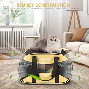 Cat Carrier Soft for Small Medium Puppy Cats Dogs Puppies up to 15 Lbs, Soft Cat Carrier with Breathability, Black Cat Carrier Soft for Small Medium Puppy Cats Dogs Puppies up to 15 Lbs Soft Cat Carrier with Breathability Black
