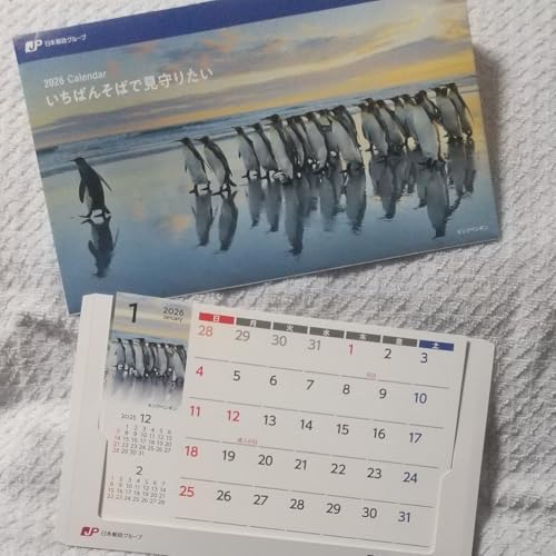 2026N J_[ fXNJ_[ ې J_[