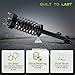 Autosaver88 Pair Front Complete Quick Struts Rear Shock Coil Spring Assembly Compatible with 2005 2006 2007 2008 2009 2010 Chrysler 300, 2006 2007 2008 2009 2010 Dodge Charger, 2005-2008 Dodge Magnum