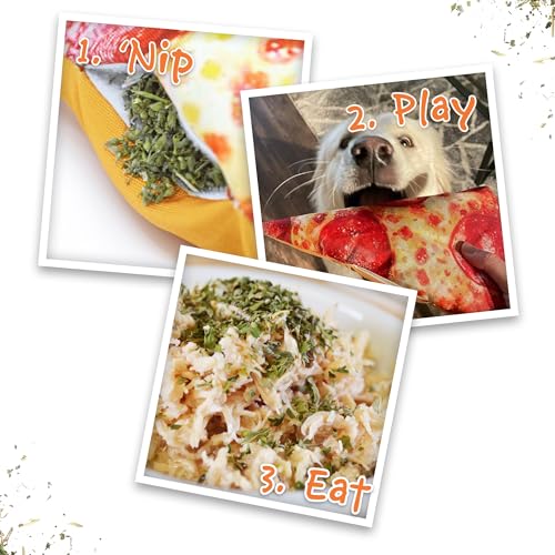 Image of Doggijuana Supreme Pizza & Juananip Bundle | Squeaky Refillable Plush Toy | Refillable squeaky plush dog toy + organic calming catnip; eases anxiety, stress & storms; drug-free, hand-harvested