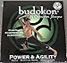 Budokon: Power and Agility Yoga