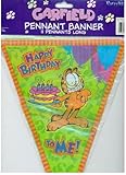 GARFIELD Birthday Party PENNANT BANNER - 11 Pennants