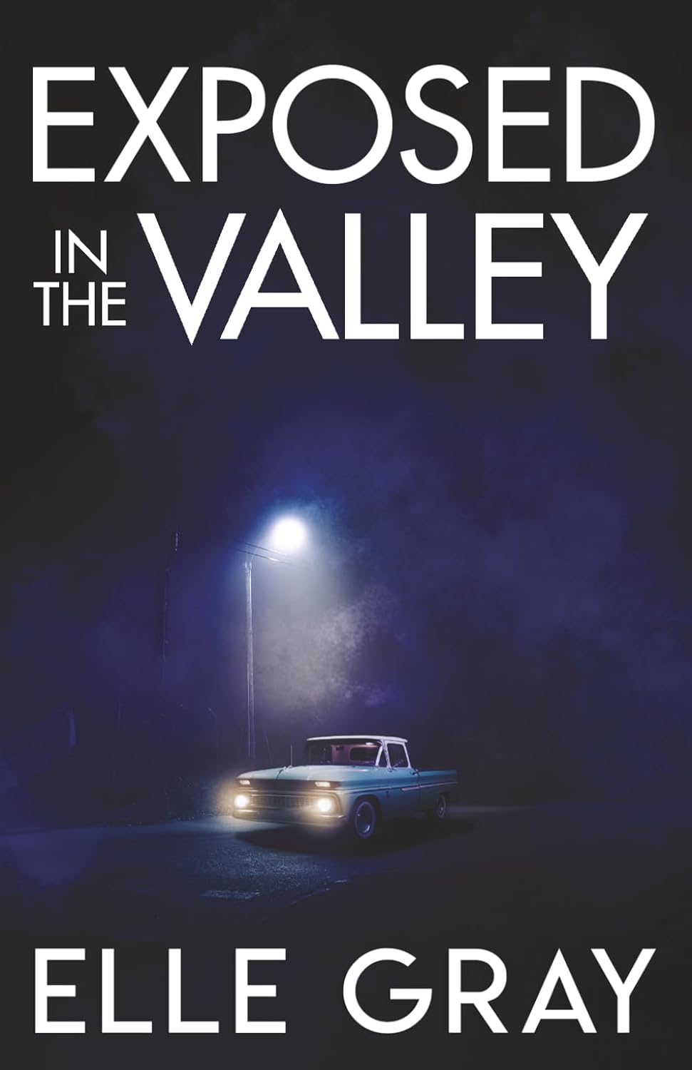 Exposed in the Valley (A Sapphire Valley Mystery)