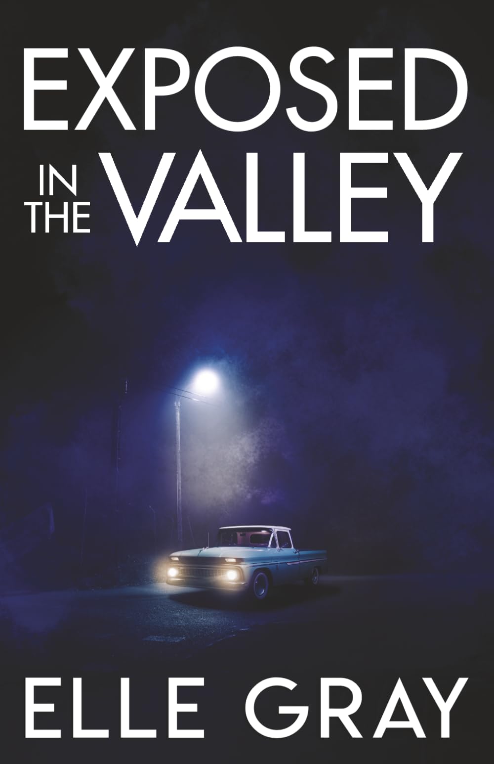 Exposed in the Valley (A Sapphire Valley Mystery)