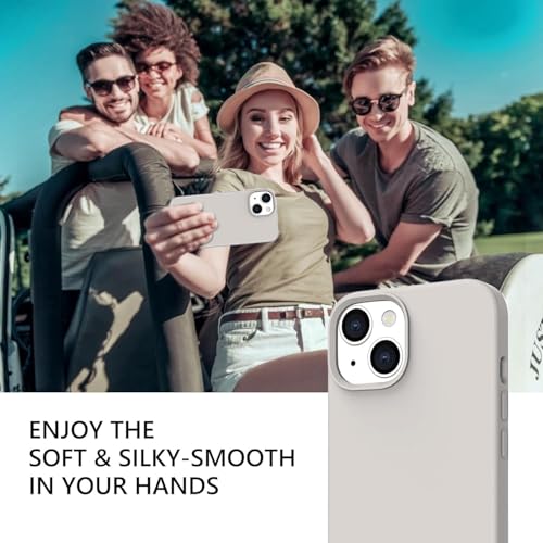 Image of DIZORO Compatible with iPhone 13 Case /iPhone 14 Liquid Silicone Case, Full Body Protective Cover, Shockproof, Slim Phone Case, Anti-Scratch Soft Microfiber Lining,(6.1 inch - Neo Stone)