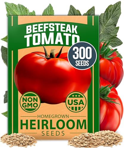 HOME GROWN Beefsteak Tomato Seed Pack - 300 Heirloom Tomato Seeds for Planting Outdoors High-Yield...