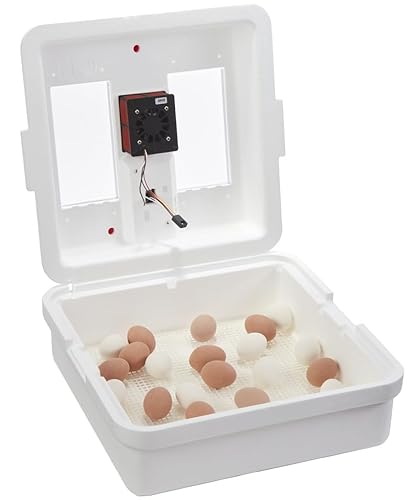 Miniatura 9 de Incubadora de aire circulado digital Little Giant® 41 huevos Incubadora de huevos con ventilador, control de temperatura y humedad Huevos