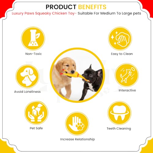 Image of Hen Chicken Squeaky Dog Toy - Medium & Large Combo Pack of 2