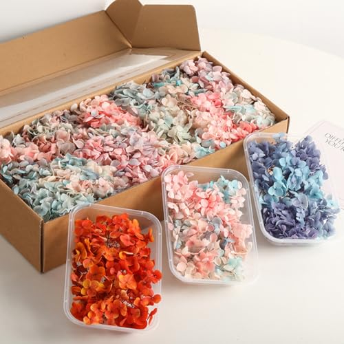 Set de 3 cajas de flores secas en degradado para manualidades miniatura 5