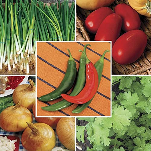 Park Seed Salsa Vegetable Seed Collection – Non-GMO Garden Kit with Tomato, Cilantro, Green Onion, Sweet Onion & Salsa Pepper – Grow Fresh Homemade Salsa at Home, Total of 1,335 Seeds