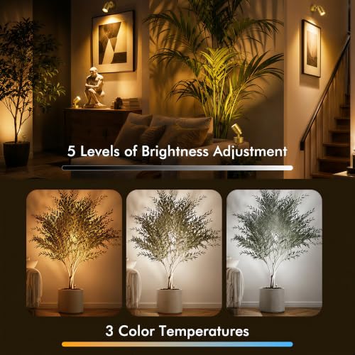 Image of 2 Pack LED Spot Lights Indoor, 3W Uplighting Indoor with Remote Control Dimmable and Timer, 3 Lighting Modes Spotlights, Accent Uplights Indoor Solid Wall Light for Plants Picture Artwork, Gold