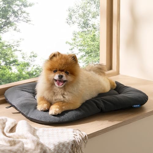 BEDSURE waschbar Hundekissen für kleine Hunde - dünne Hundebette kleine Hunde, weiche und Bequeme Hundematte mit Rutschfester Unterseite- 59x43 cm,Dunkelgrau