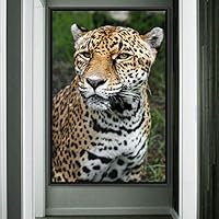 Framed Canvas Wall Art Leopard Animals Cheetah Dramatic Living Room Multicolor Photography - 16x24 inches