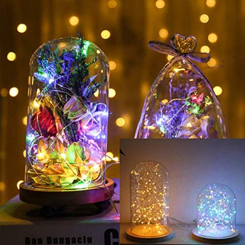 MonTrüe 10m Guirlande Lumineuse à Pile, Intérieur et Extérieur Décoration Romantique - Multi Couleur