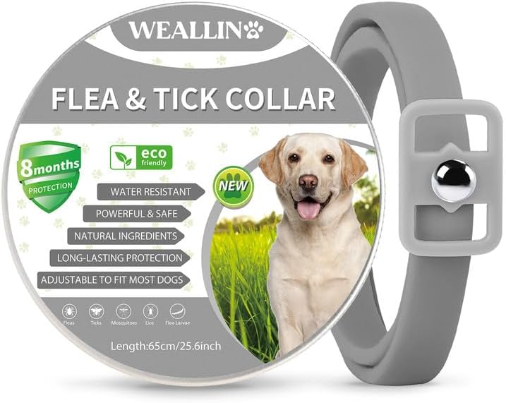 WEALLIN Flea Treatment for Dogs, Adjustable Water-Resistant Dog Flea Collar, Effective 8 Months Natural Protection Dog Flea Collars, Flea and Tick Collar for Most Kinds of Dogs, Rainbow(1 Pack)
