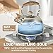 Choxila Stovetop Tea Kettle - 2.1 Quart Whistling Tea Pot for Stove Top, Premium Stainless Steel Teapot for All Stovetops | Elegant Design & Heat-Resistant Handle