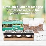 Viridescent B00TIY8SHQ lato 2