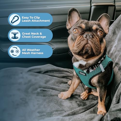 Image of Best Pet Supplies Voyager Step-in Air Harness - All Weather Mesh, Reflective, No Pull Harness for Dogs, Cats - Secure with Hook & Loop Fastener, Buckle, Double D-Rings - Turqupise 2-Tone, S