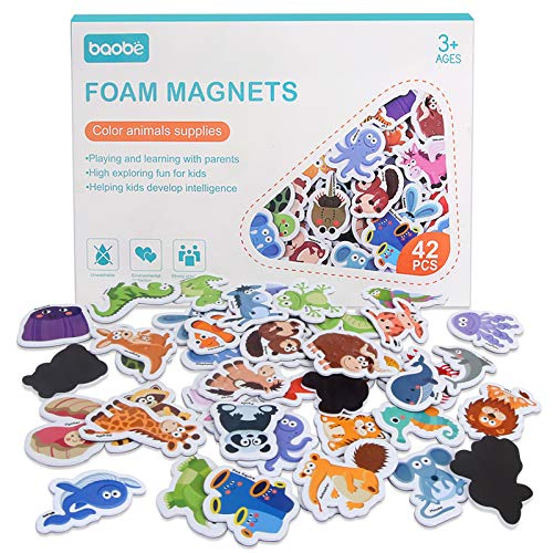 educational magnets for toddlers
