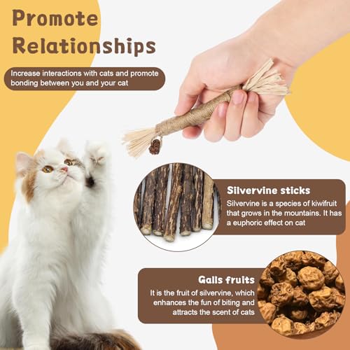 Silvervine Katzenspielzeug, natürliches Katzenminze-Kauspielzeug für Kätzchen, zur Zahnreinigung, steigert den Appe, beruhigt Angst und Stress, 3 Stück