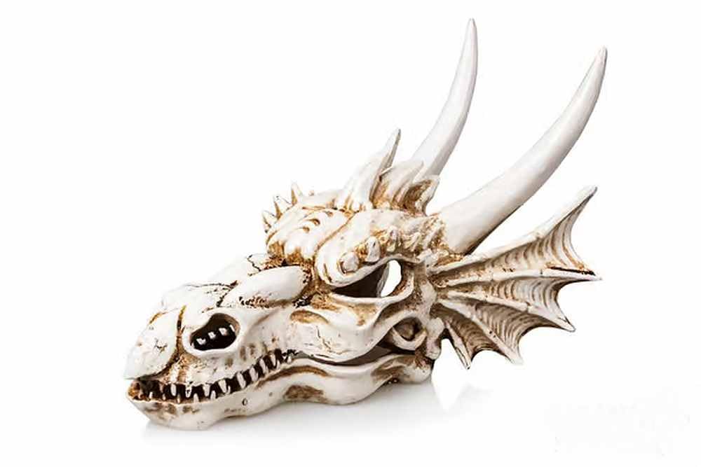 Biotope Aquatics Ltd Brown - Aquarium Ornaments, Fish Tank Polyresin Swim Through Decorations, Multiple Designs - Dinosaur, Skull, Boat, Ship, Tree Root, Wood, Cave (Dragon #720 (19Cm))