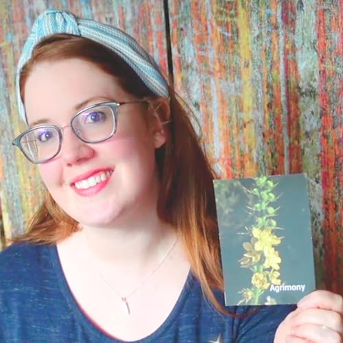 Sagittarius Season and Autumnal Reflections