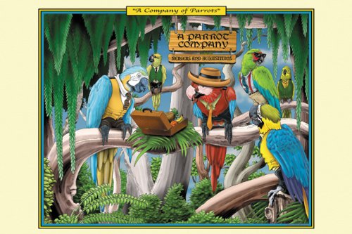 Buy Enlarge 0-587-25301-0P20x30 Company of Parrots- Paper Size P20x30